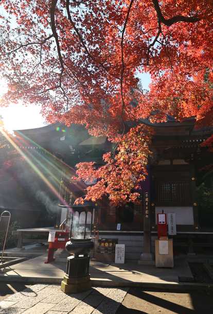 関東三大不動、真言宗智山派別格本山「高幡不動尊金剛寺」。新選組土方歳三の菩提寺。